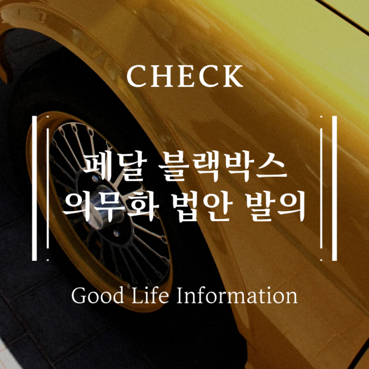 페달 블랙박스 의무화 법안 발의. 관련주 체크 페달 블랙박스 의무화 법안 발의. 관련주 체크