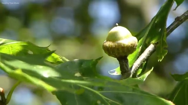  중고차장기렌트 렌트 , 정말 경제적인 절세혜택 초기 비용 없이 주목해보세요 !