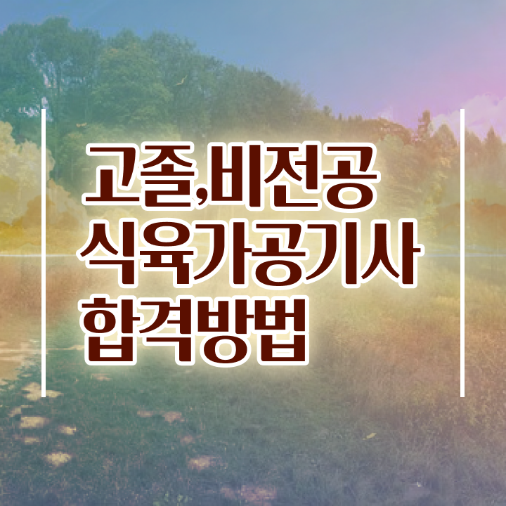  식육가공기사 시험응시자격 온라인으로 빠르게 성공한 노하우