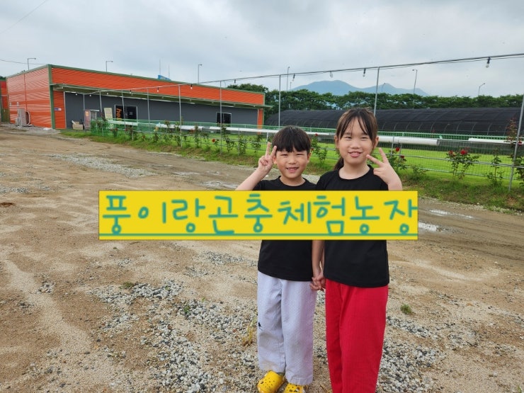  포항아이와가볼만한곳 곤충체험농장 [풍이랑]