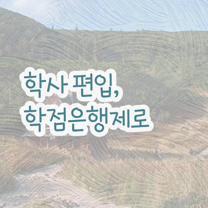  학점은행제 과 , 고졸자를 위해 스케쥴을 확실하게 조정해주는 학점은행제 플래너 추천 드립니다.