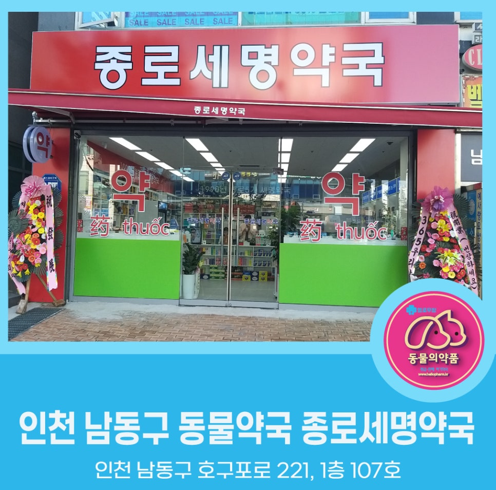 종로세명약국 사진 1