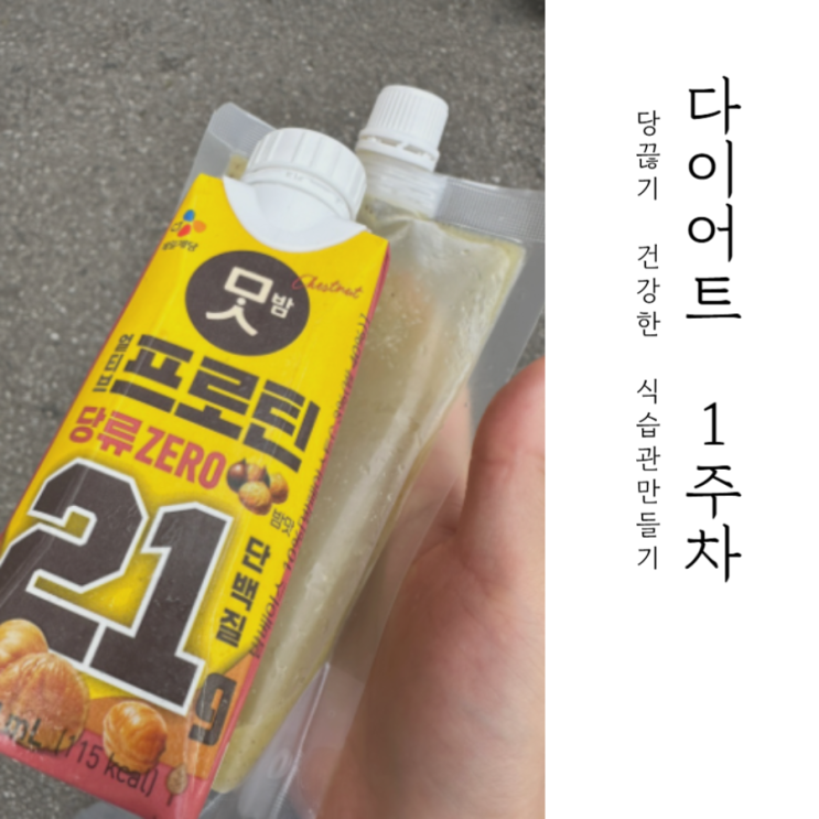  당 끊기 다이어트 1주차