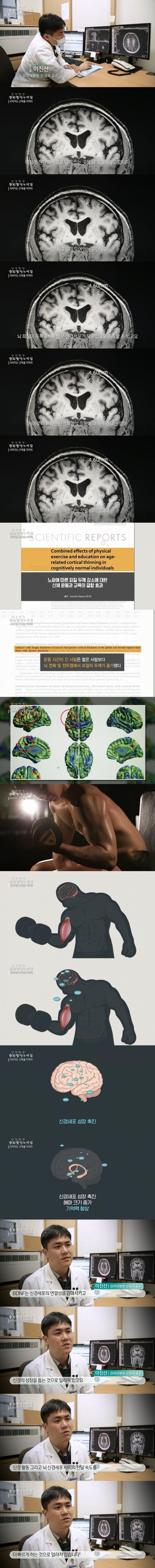  근육이 뇌 기능에 미치는 영향