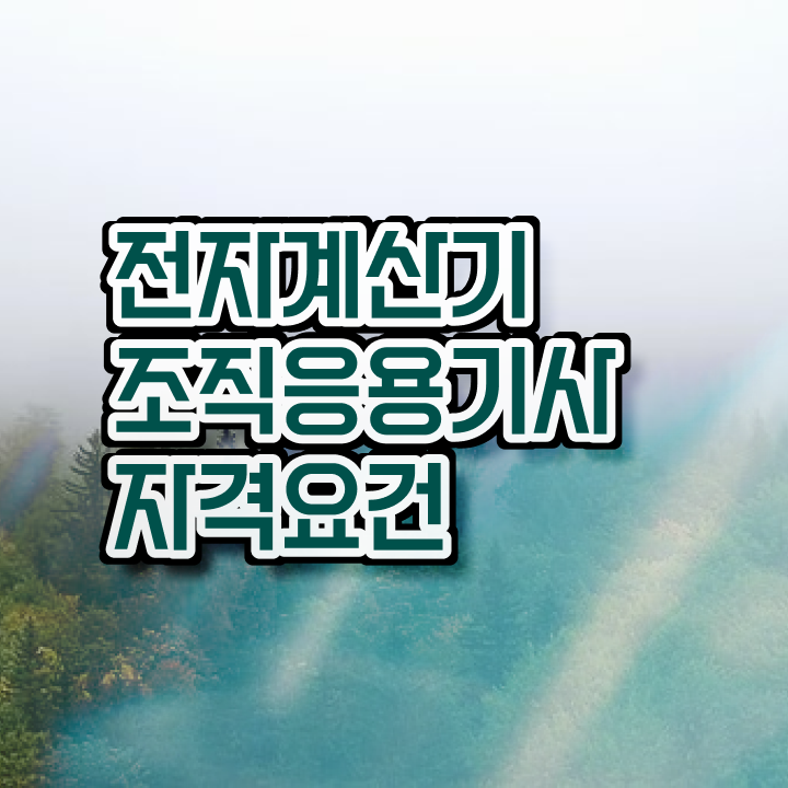  전자계산기조직응용기사 시험응시자격 온라인으로 간단하게 완료한 방법