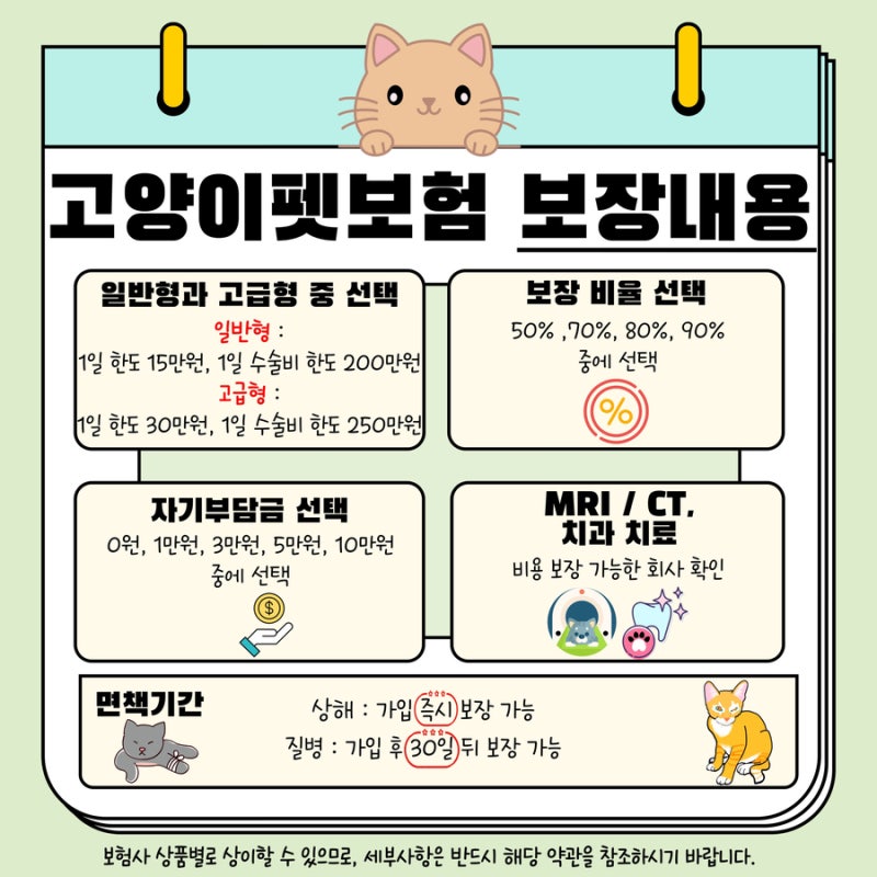 고양이 애완동물 보험에 대한 완벽한 비교를 제공합니다.