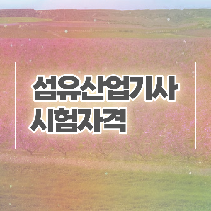  섬유산업기사 취득자격 집에서 온라인으로 쉽고 빠르게 끝낸 전략