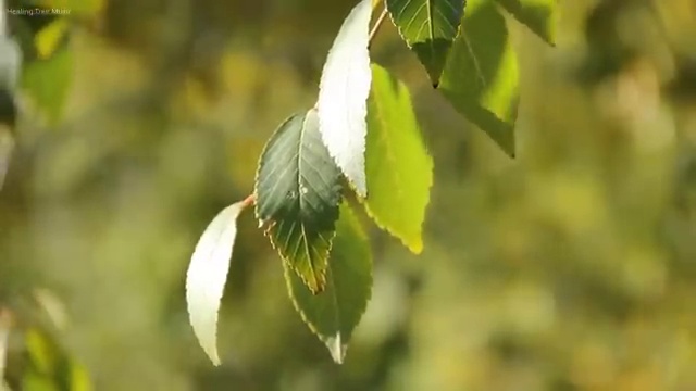  동대문구 제기동 화장실배수관막힘 확실한 해결 방안
