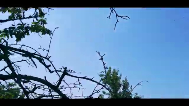  싱가포르 여행 경비 아낄 수 있는 비법 , 현지 전문가 에게 직접 물어보세요. (무료 서비스)