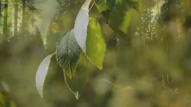 스포티지 장기렌트 가격 리스 , 합리적인 정보