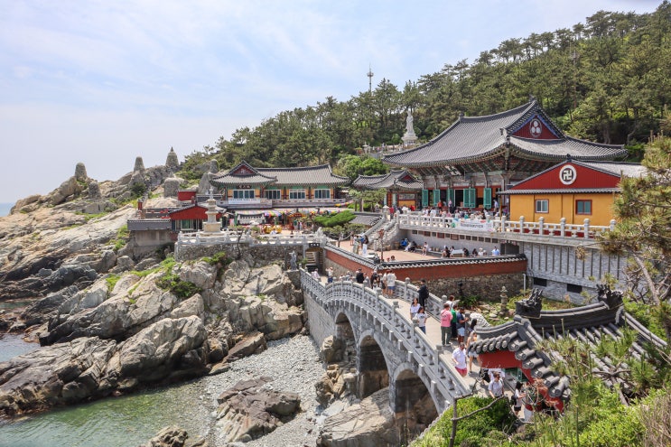  7월 가볼만한곳 부산 절 기장 해동용궁사 주차장