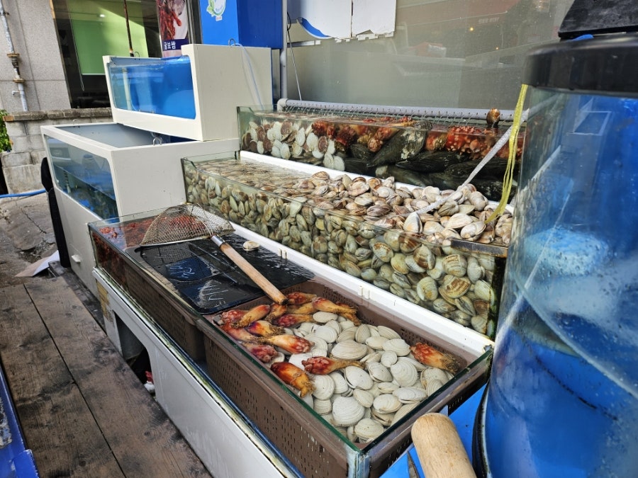 본섬조개마을 태장점 사진 3