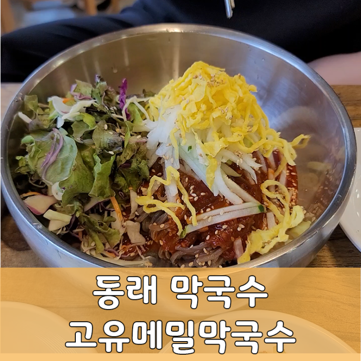  부산 동래 고유메밀막국수 친절하고 양 많은 동래맛집추천