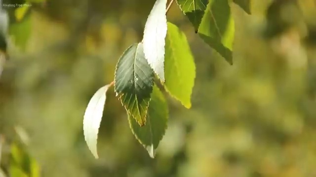  인천 결혼박람회 , 웨딩박람회 모든 과정 스드메 시작하는 노하우