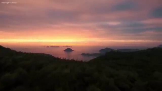  베트남 여행비용 절약하는 팁 , 현지 전문가 가 알려드려요 (무료 서비스)