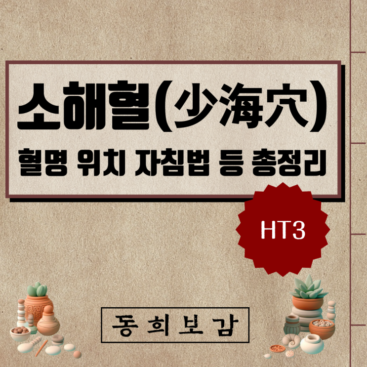  소해혈(少海穴) HT3, 소속경맥 혈명 위치 특성 자침법 등 총정리