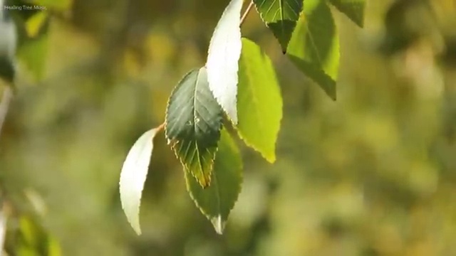  가족해외여행추천 , 여행 전문가 가 정리해 봤어요 (무료 서비스)