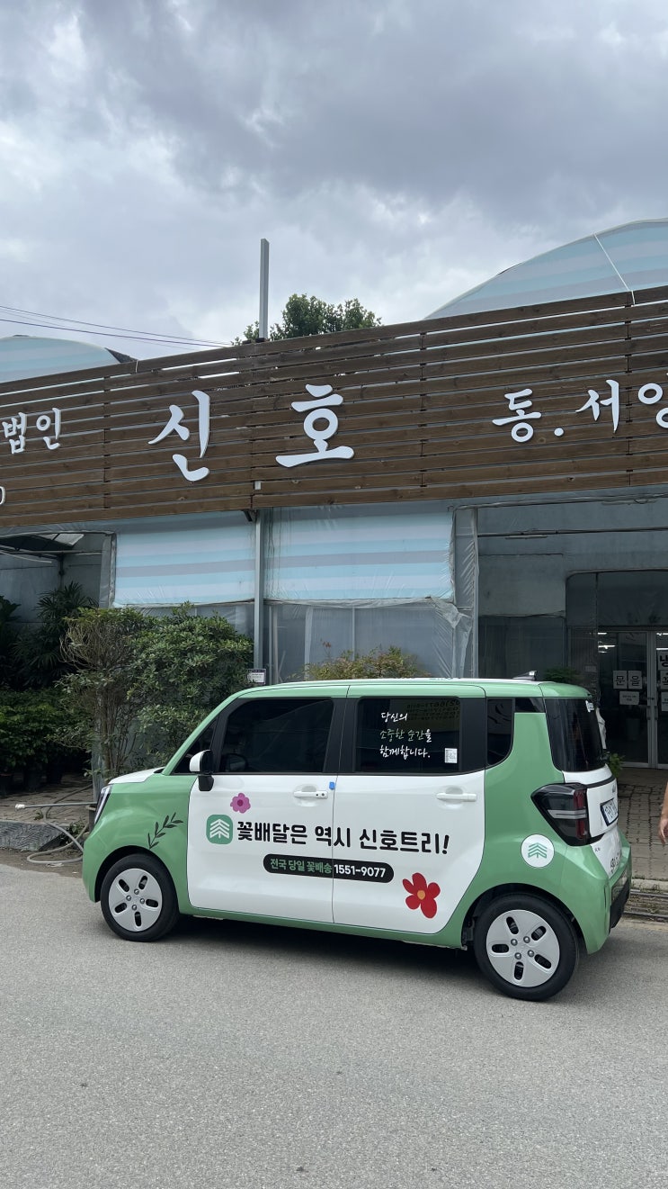  신호트리의 NEW CAR