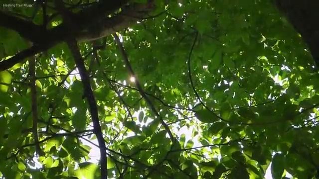  코타키나발루 여행비용 절약하는 방법 , 여행 전문가 가 무료로 설계해 드립니다. (무료 서비스)