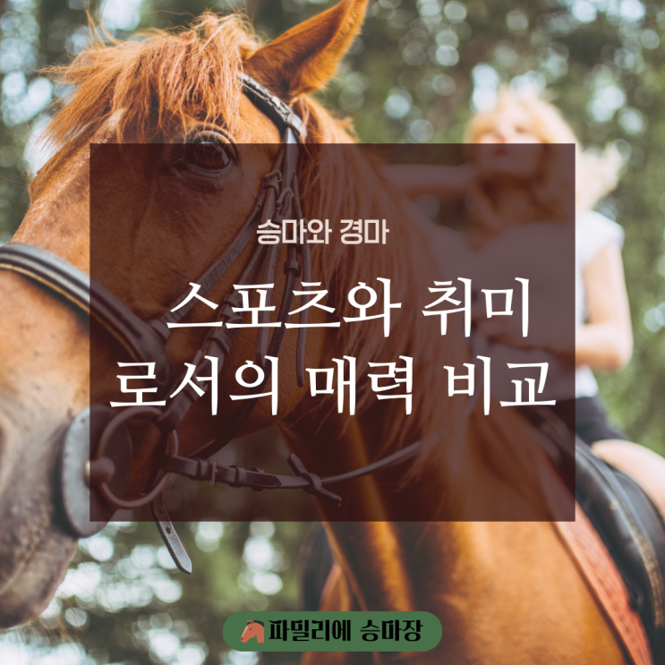 승마와 경마 스포츠와 취미로서의 매력 비교