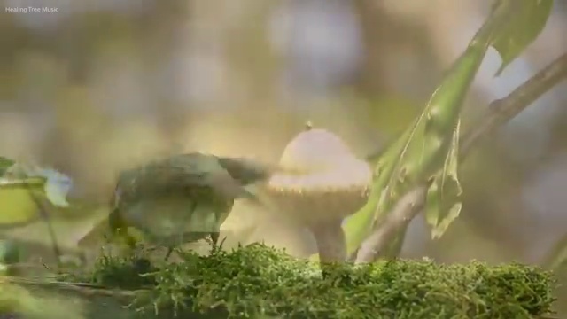  킨텍스 결혼박람회 웨딩 스튜디오 예산에 맞는 곳 찾아보세요 합리적인 선택 , 결혼박람회에서 결혼준비 빈틈없이