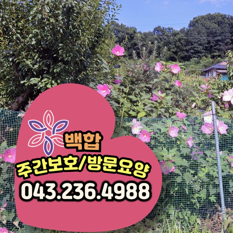  청주주간보호센터 개신동주간보호 더운 여름에도 웃음꽃 활짝! 어르신 생신잔치와 다채로운 활동