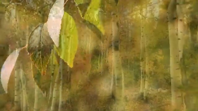  오사카 가볼만한곳 , 여행 전문가 가 정리해드려요 (무료 서비스)
