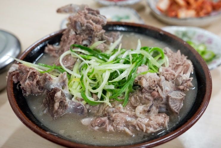  제주시 접짝뼈국 맛집 “닥그네할망” 제주도 향토음식 제대로 즐겨보기