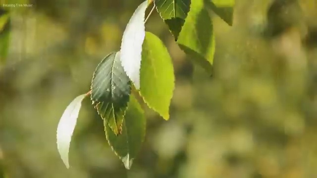  여행비용 아낄 수 있는 방법 , 여행 전문가 가 정리해드립니다. (무료 서비스)