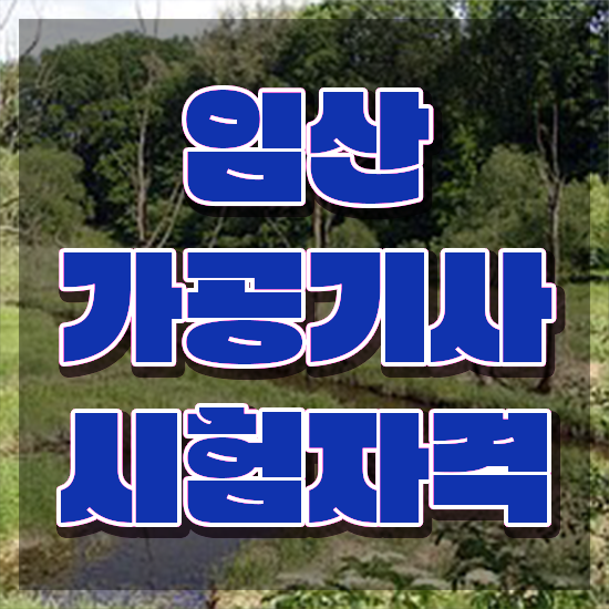  임산가공기사 자격요건 학점은행제로 빠르게 성공한 비법