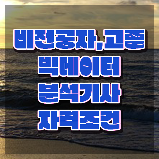  빅데이터 분석 기사전망 빅데이터분석기사 시험응시자격 온라인으로 1학기에 성공한 후기