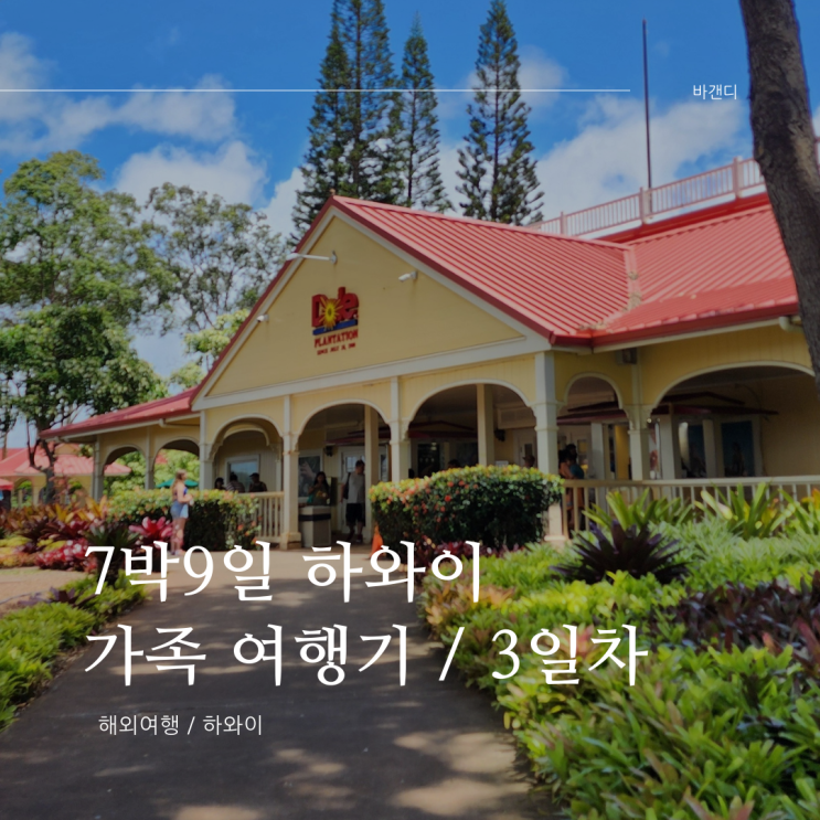  하와이 7박 9일 가족여행 3일차 / 돌 플랜테이션, 지오반니 새우 트럭, 라니아케아 비치, 야드 하우스