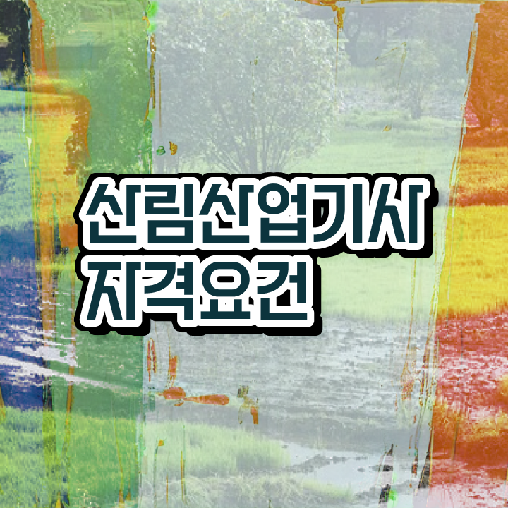  산림산업기사 학점은행제 산림산업기사 취득자격 인강으로 15주만에 준비한 전략