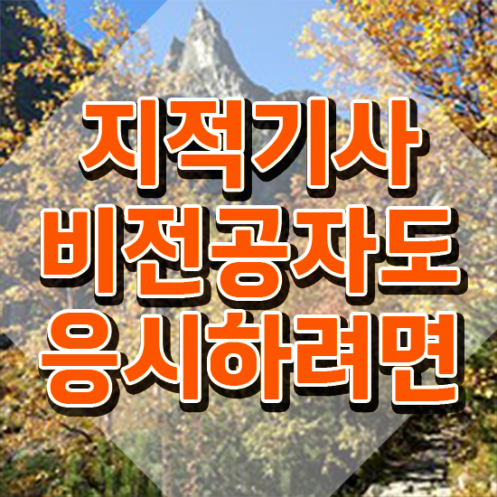  지적기사 합격 지적기사 자격요건 온라인 수업으로 5달만에 완료한 후기