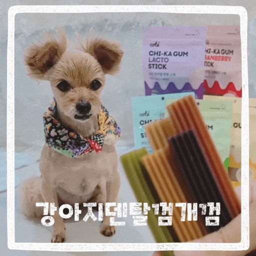  노견간식 추천 부드러운 강아지덴탈껌 치석제거 개껌