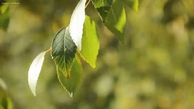  장기렌터카 보험 렌트 , 합리적인 프로모션 정보