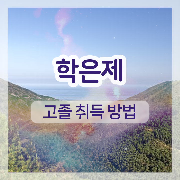  학점은행제 학점확인 관련학과 아니어도 편하게 성공한 후기