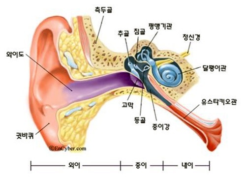 [고막수술] 삼출성 중이염부터 환기관 튜브 삽입술(고막 튜브 삽입), 고실성형술까지①