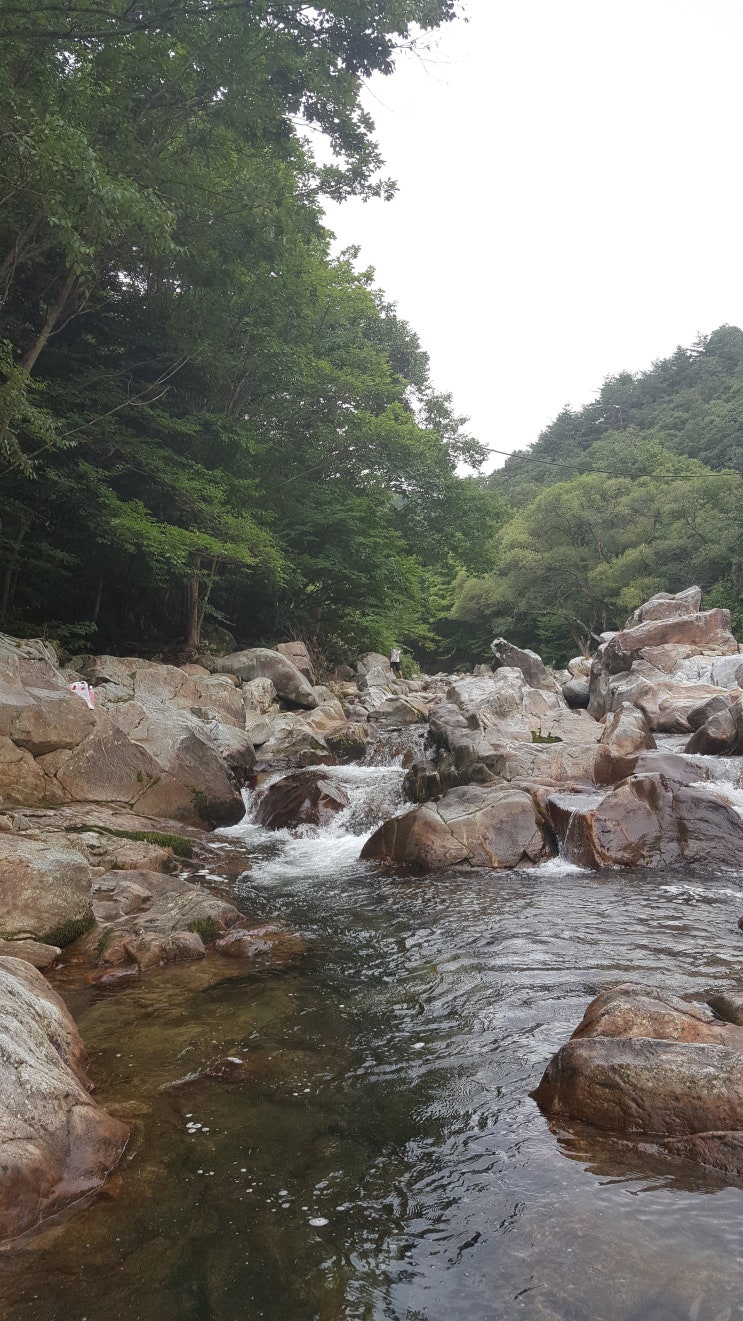  네이버 스페셜 포토덤프 4주차 지리산여행