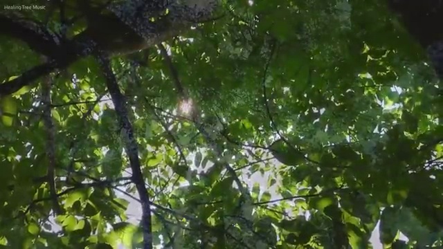  무보증 장기렌트 리스 , 정말 적절한 이용방법 초기 비용 없이 완벽한 선택 !