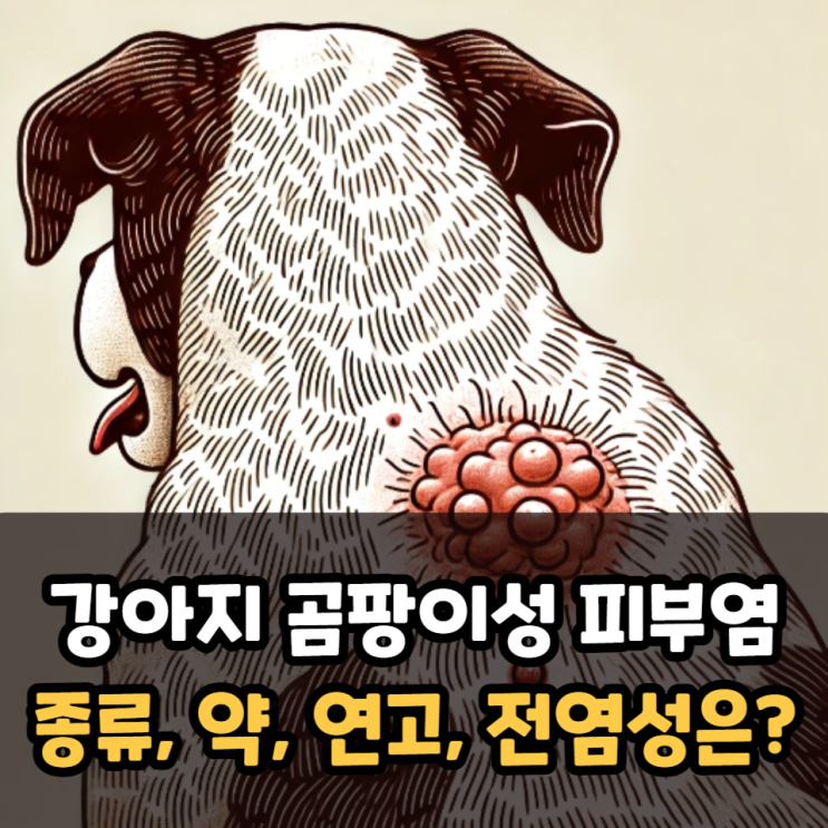  강아지 곰팡이성 피부염 종류, 약, 연고, 전염성은?