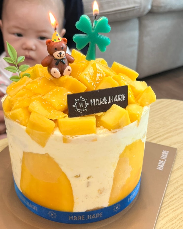  하레하레 생망고 케이크와 성심당 망고시루 비교 리뷰