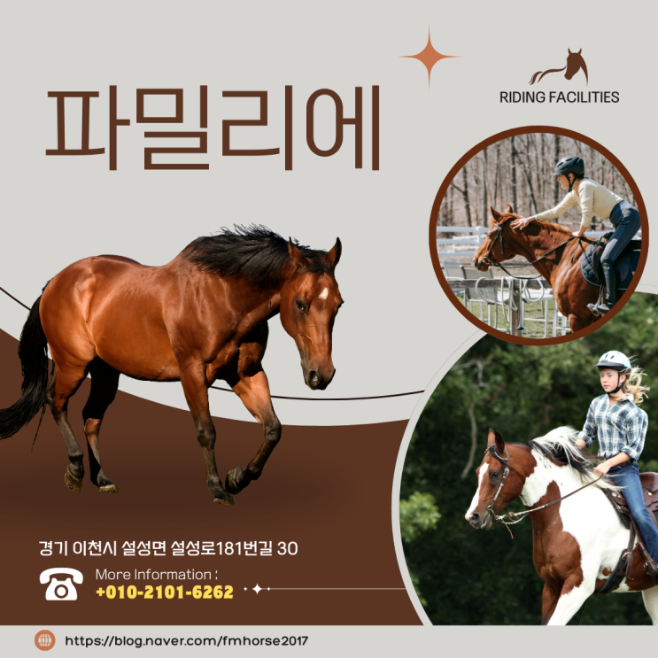  이천승마장, 파밀리에는 다양한 승마 프로그램이 있습니다!