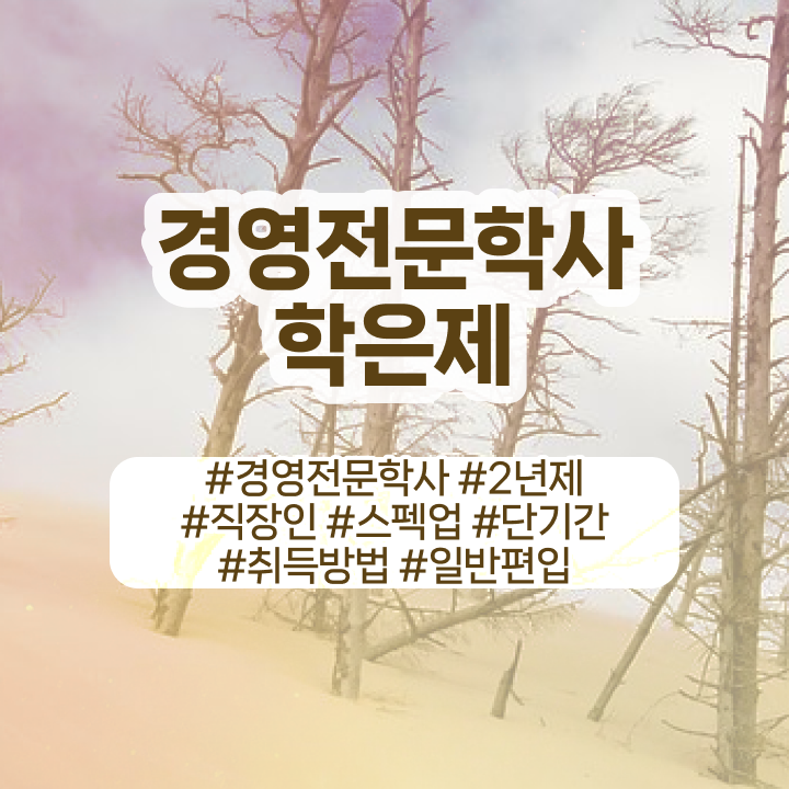  학점은행제 추천 , 학점은행제전문학사 비전공 직장인도 학점은행제로 쉽고 빠르게 성공한 전략