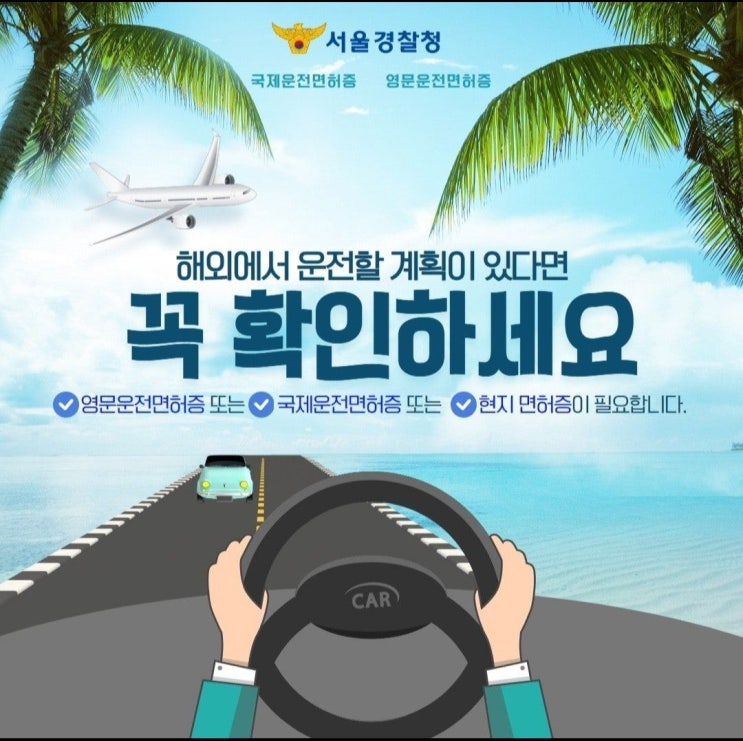  『해외에서 운전할 계획이 있다면 반드시 확인요!! 』