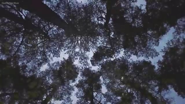  렌트 합리적인 정보