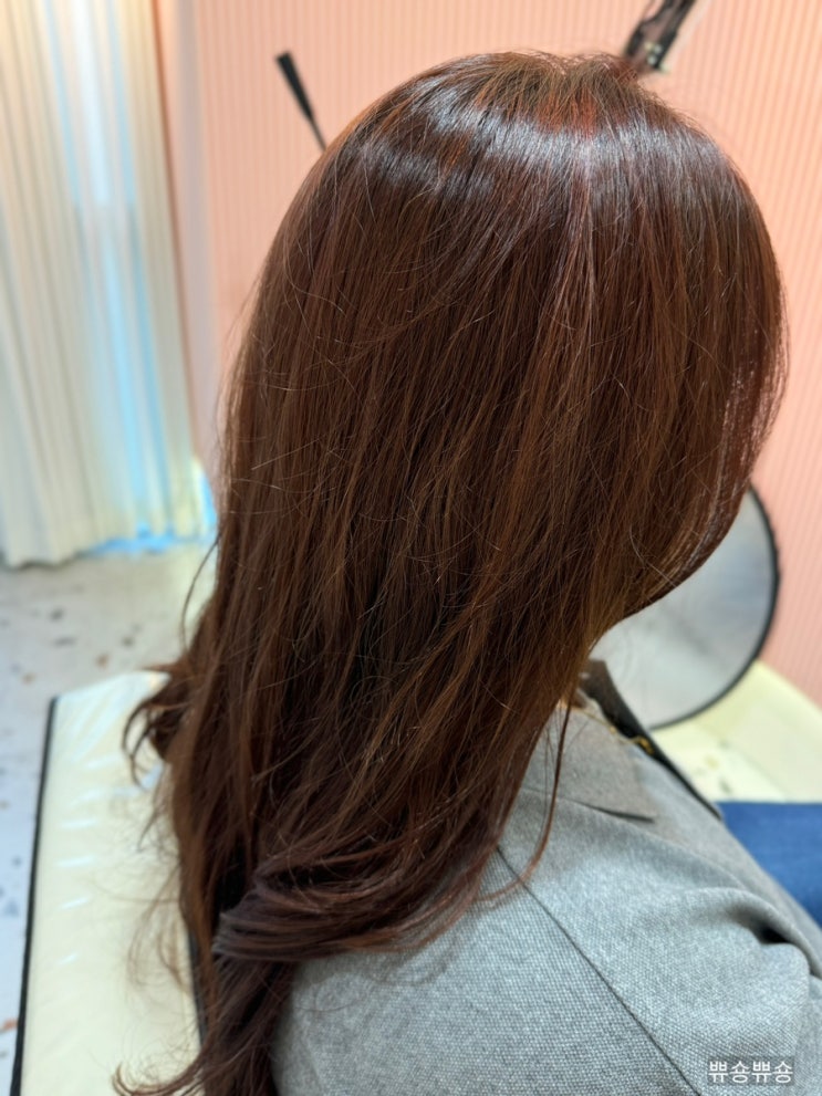  한티역 미용실 토니앤가이 대치점에서 레드브라운 염색하기