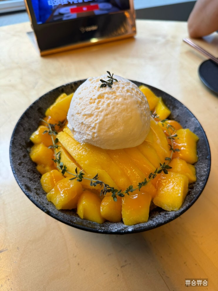  압구정로데오 맛집 초심 생망고빙수 수제푸딩 후기