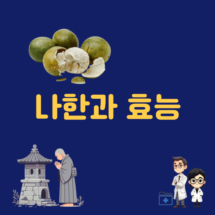  나한과효능 나한과 부작용 설탕 분말 추출물 감미료