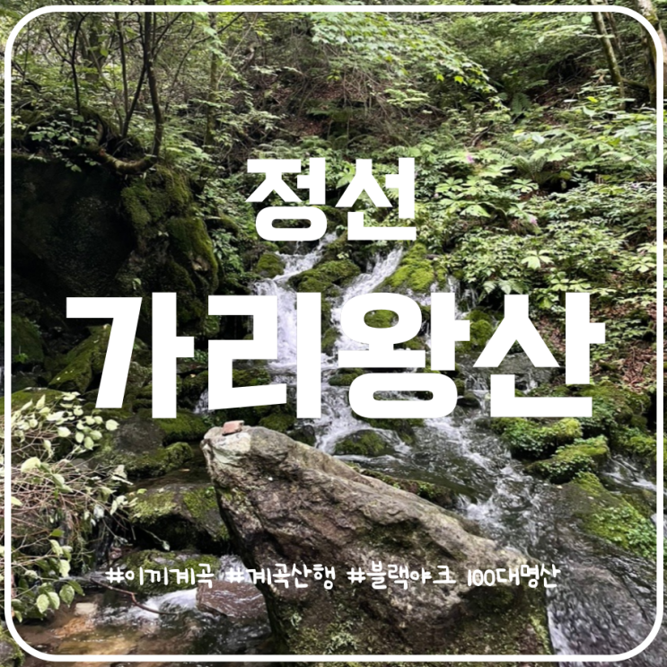 강원도 정선 가리왕산 장전리이끼계곡 계곡산행 강원도 정선 가리왕산 장전리이끼계곡 계곡산행